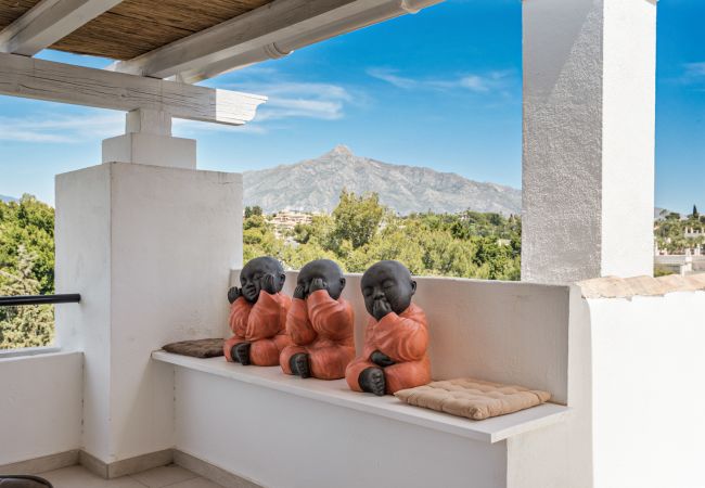 Ferienwohnung in Nueva andalucia - Penthouse Mirador del Rodeo 1.2 Ferienwohnung in Nueva andalucia - Penthouse Mirador del Rodeo 1.2