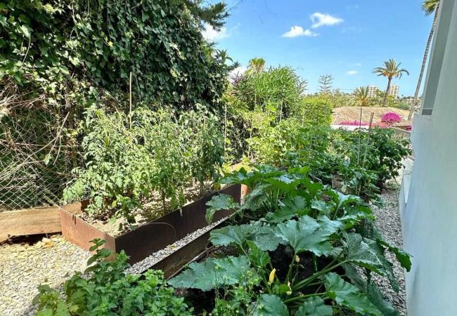 Villa in Nueva andalucia - Villa Enso Villa in Nueva andalucia - Villa Enso