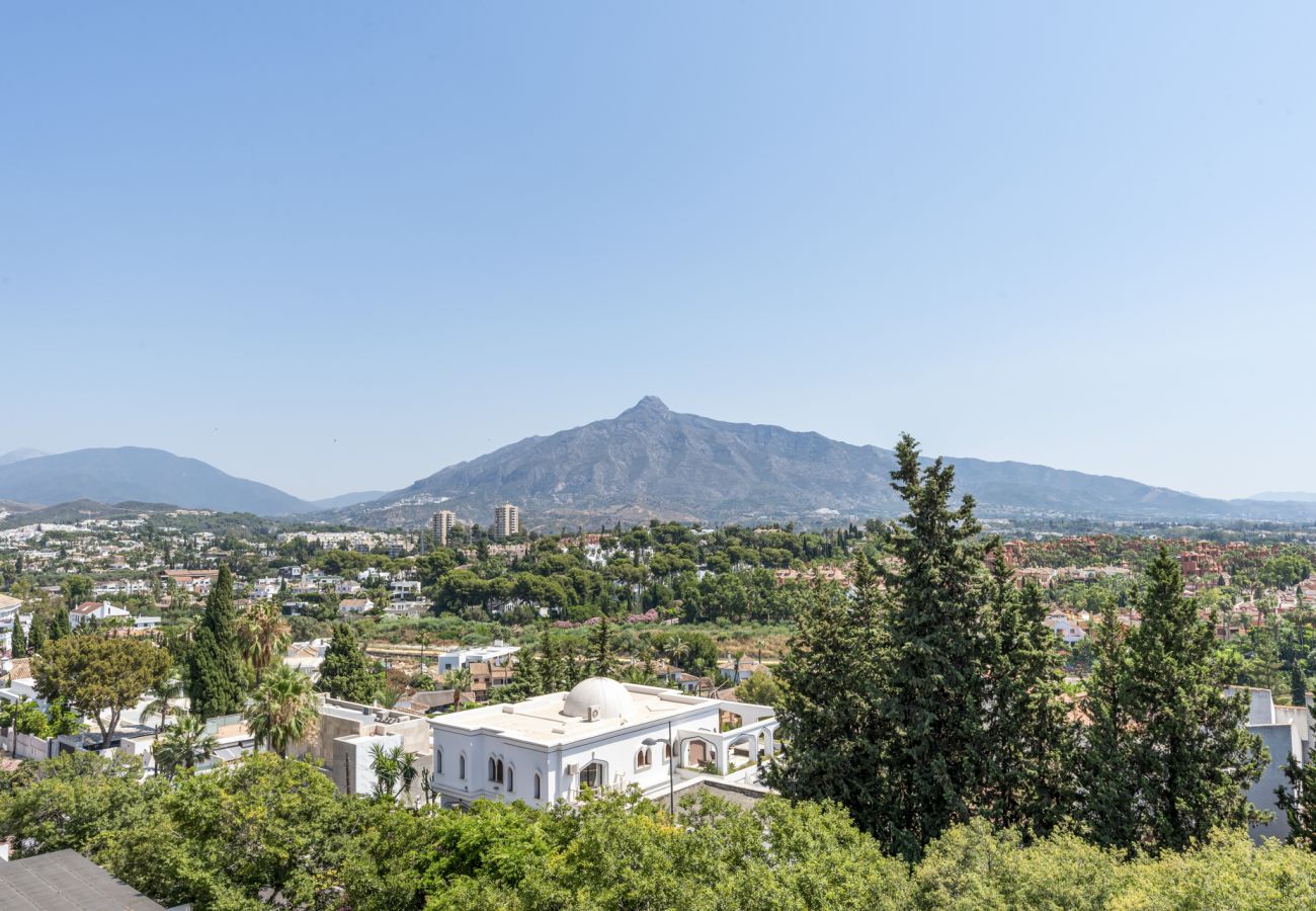 Apartment in Nueva andalucia - Casa Casaño